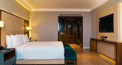 THE ELITE NARASAPURA, A MEMBER OF RADISSON INDIVIDUALS Room Type - Superior Room