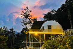 Lovely Nature Glamping - Domestay