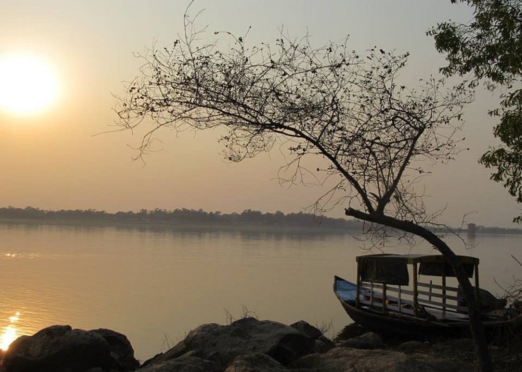 Silver Woods - Tap to explore photos