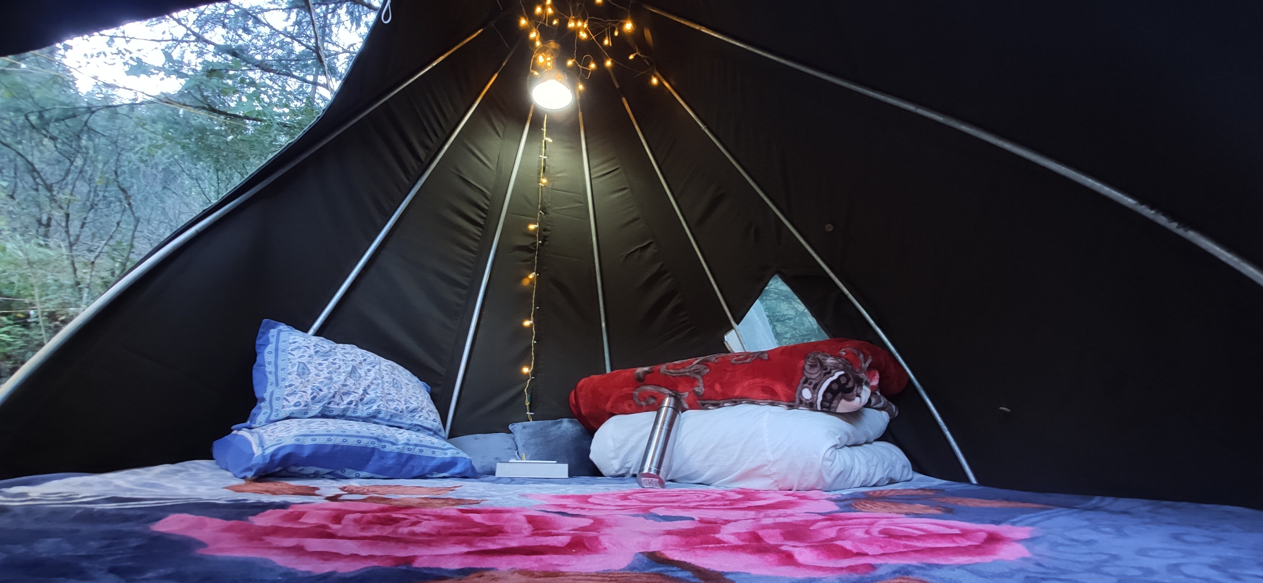 Tree stays - Tap to explore photos