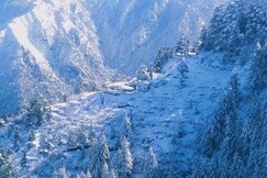 Green Forest Resorts