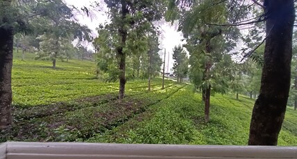 LMS Palve Sugavasam Room Type - Skyline