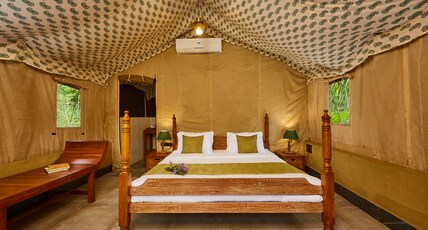 Grape County Eco Resort & Spa, Nashik Room Type - Premium Forest Tent (Luxurious)