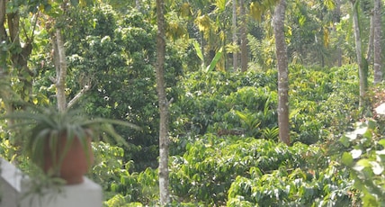Honalu Homestay Room Type - Honalu Homestay
