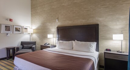 Holiday Inn TEXARKANA ARKANSAS CONV CTR Room Type - 1 King Bed Standard Non Smoking