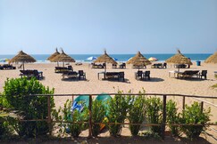 Mountain Palm Patnem Beach