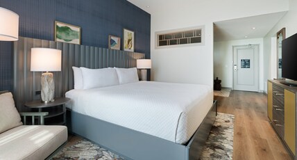 Hotel Indigo ASHEVILLE DOWNTOWN Room Type - 1 King Suite Communications Accessible