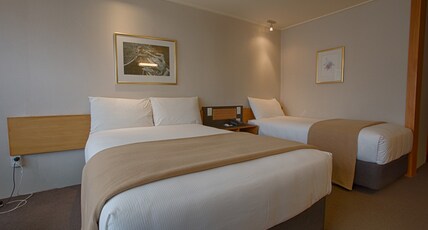 Kingsgate Hotel Te Anau Room Type - Superior Twin