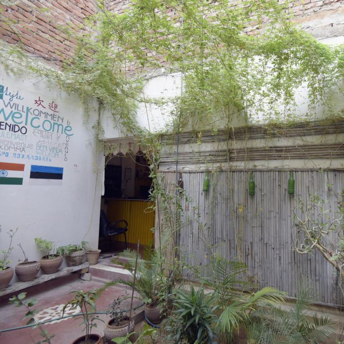Chalo Eco Hostel - Tap to explore photos