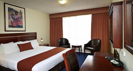 ibis Styles Albany Room Type - Standard Room with a Queen Bed