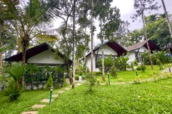 snow white resort wayanad