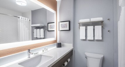 Holiday Inn Odessa, an IHG Hotel Room Type - 1 King Bed Standard