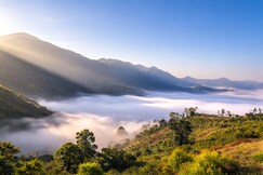 Silent Villa's 6BR in Araku Valley by Homeyhuts