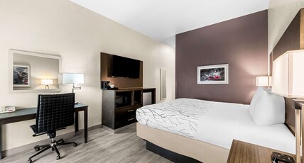 Best Western Boerne Inn & Suites Room Type - 1 King Bed, Non-Smoking, 42 Inch Led Television, Microwave And Refrigerator, Sofabed, High Speed Int Best Western Boerne Inn & Suites Room Type - 1 King Bed, Non-Smoking, 42 Inch Led Television, Microwave And Refrigerator, Sofabed, High Speed Int