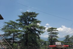 Shimla Pine View