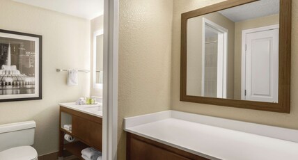 DoubleTree by Hilton Orlando Downtown Room Type - 1 KG OVERSIZED