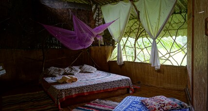 SARAYA Room Type - TREE HOUSE