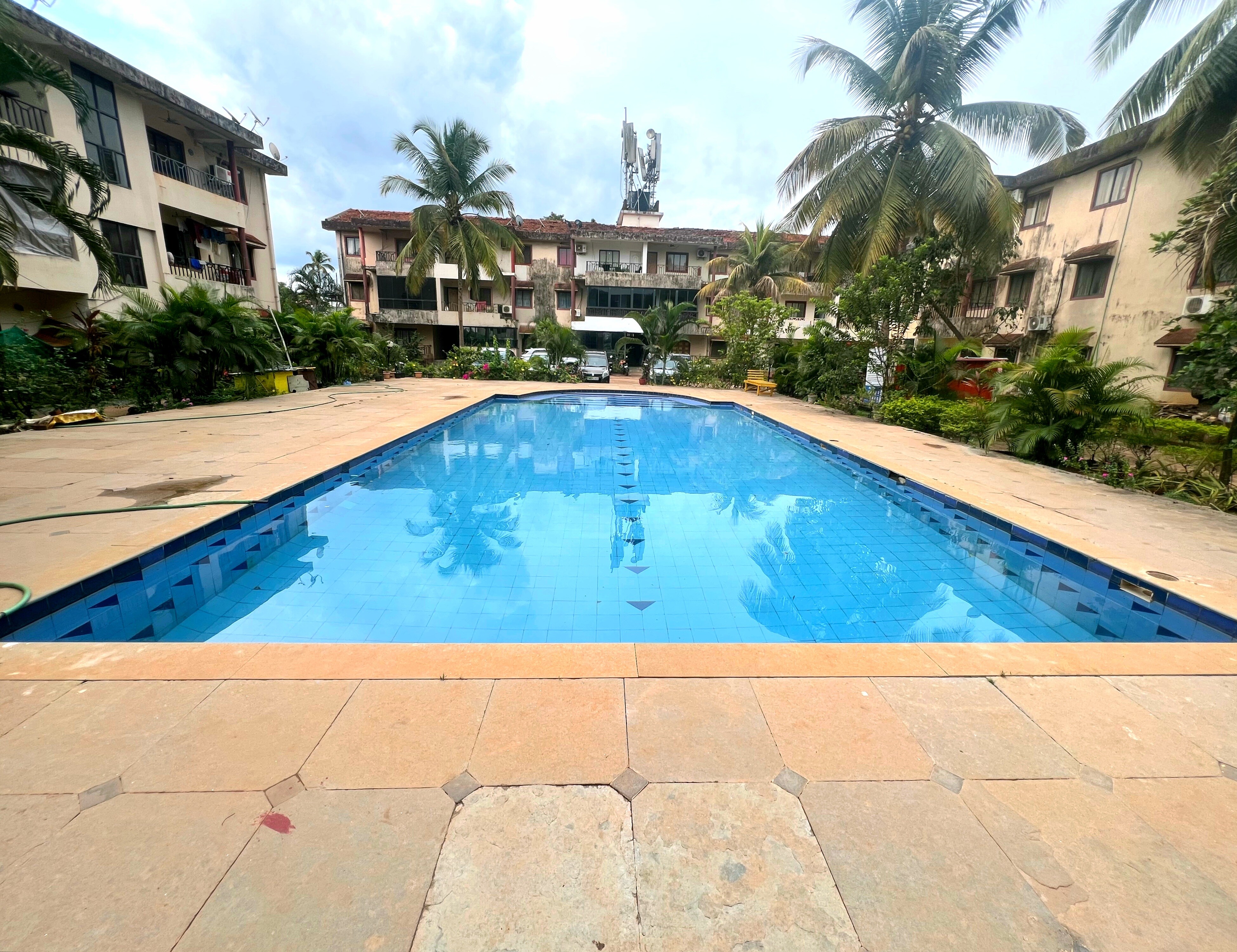 The Sakura Haven - Tap to explore photos