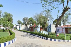 Jungle Babbler TouristResort