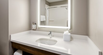 Holiday Inn Express Hotel & Suites Dewitt - Syracuse Room Type - 1 King Standard Mobility Accessible Tub