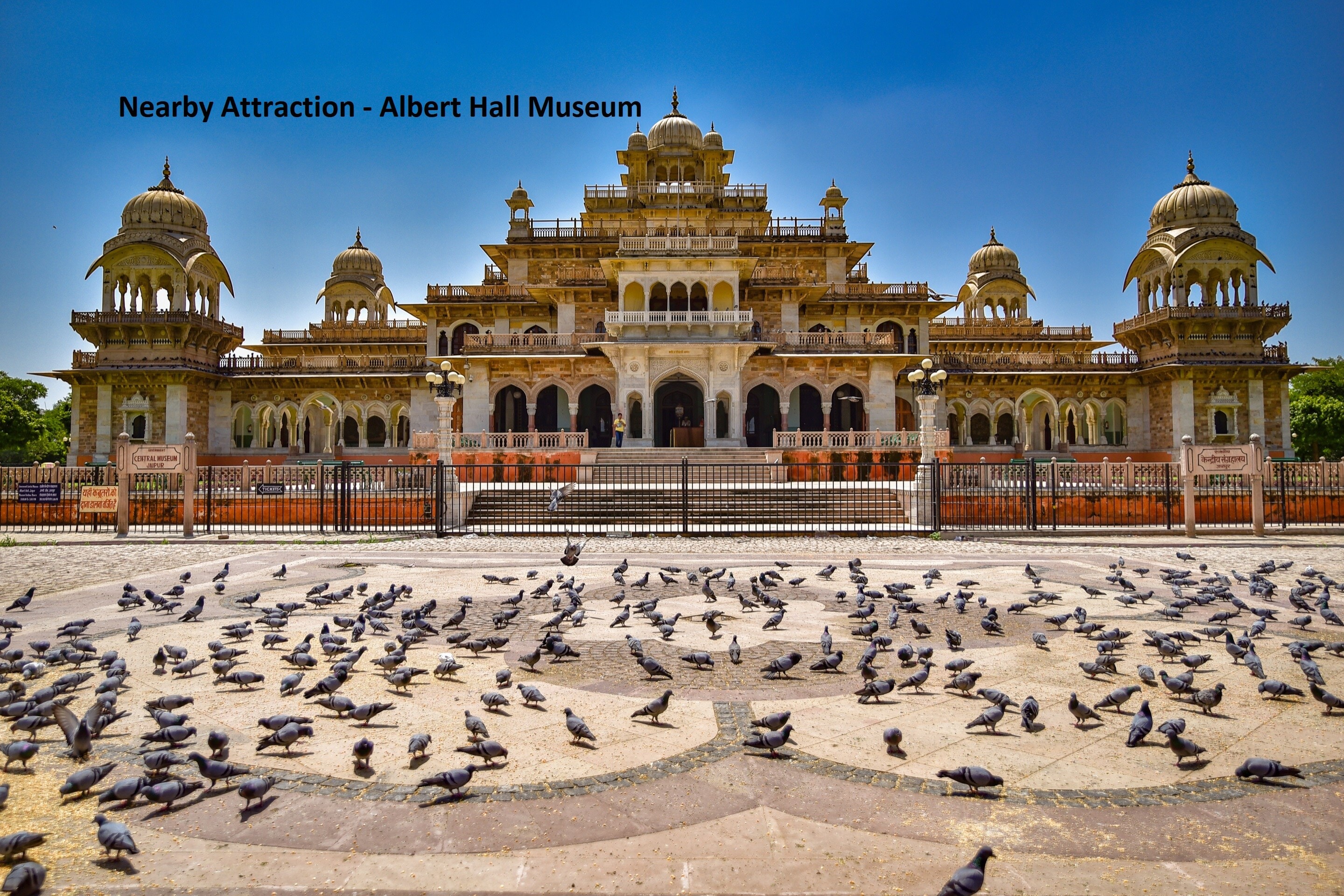 Collection O Chawla - Tap to explore photos