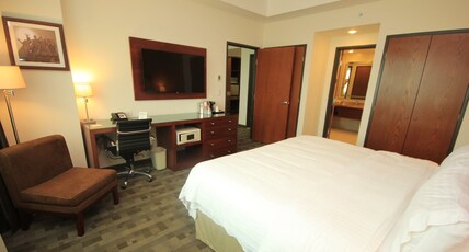 Holiday Inn Leon Plaza Mayor, an IHG Hotel Room Type - 1 King Standard