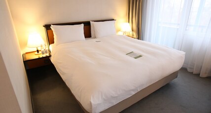 Rahat Palace Hotel Room Type - King Deluxe Rahat Palace Hotel Room Type - King Deluxe