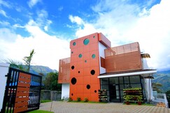 Palmtree Leaf Munnar