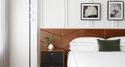 Kimpton BANNEKER HOTEL, an IHG hotel Room Type - Essential Room