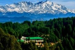 The Royals Apricot Garden