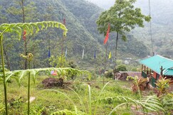 Bamboo Nest Homestay by StayApart, Bariakhop