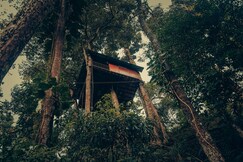 Ela Ecoland Nature Retreat 