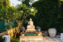 Aroha Palms Magnifica