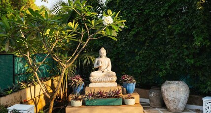 Aroha Palms Magnifica Room Type - Aroha Palms Magnifica