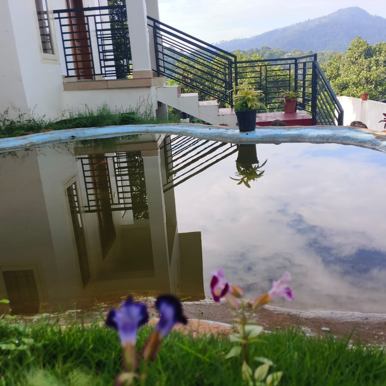Bambusa Cottages Thekkady - Tap to explore photos