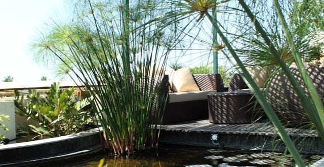 Transtree at Whitefield | Corporate Stays - Tap to explore photos