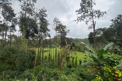 Quiet quarters Estate Stay