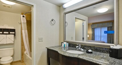 Hampton Inn & Suites Wilkes-Barre/Scranton Room Type - 1KNG STUDIO SOFABED NOSMOK
