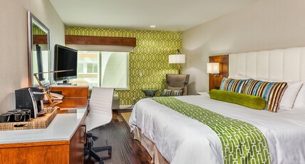 Hotel Indigo ANAHEIM, an IHG hotel Room Type - 1 King Standard