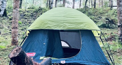 Camp tribal roots Room Type - Tent 118
