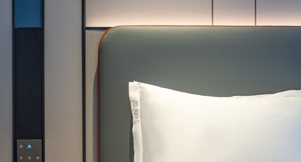 Holiday Inn Express CHANGSHA DEVELOPMENT ZONE Room Type - Standard Room