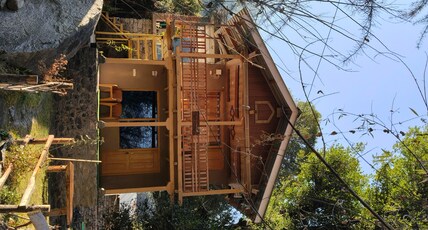 Tiny House Room Type - Tiny House