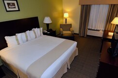 Holiday Inn FORT MYERS - DOWNTOWN AREA