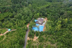 Buddha Tree Homestay