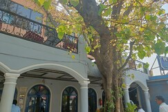 Maya Hotel and Restaurent