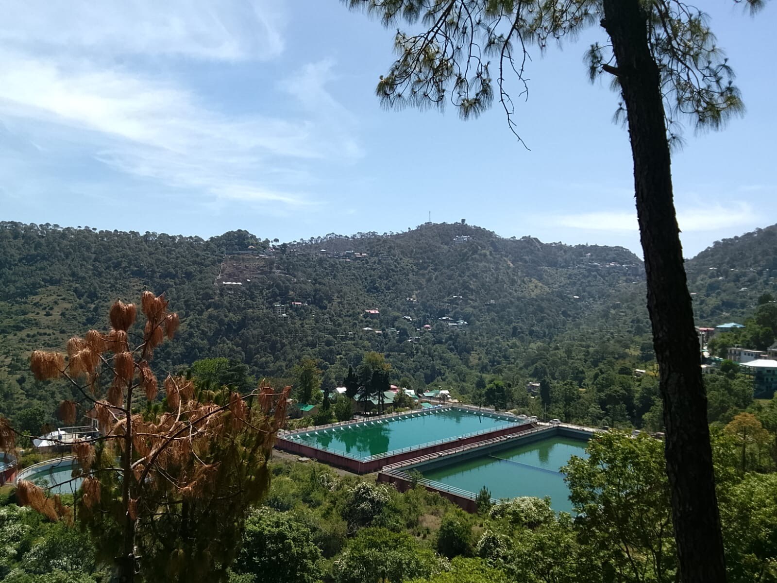 Pinewood Sunrise Homestay Kasauli - Tap to explore photos