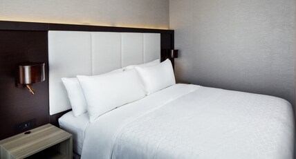 Holiday Inn Express WASHINGTON DC DOWNTOWN Room Type - 1 King Standard Communications Mobility Roll-in Shower Holiday Inn Express WASHINGTON DC DOWNTOWN Room Type - 1 King Standard Communications Mobility Roll-in Shower