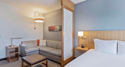 DoubleTree by Hilton Asheville Downtown Room Type - 1 KING BED