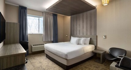 Ramada by Wyndham Bronx Room Type - 1 King Bed, Non-Smoking