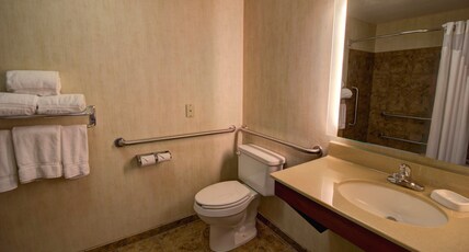 Holiday Inn Express & Suites SIOUX CENTER Room Type - 1 King Standard Comm Access Roll Shwr